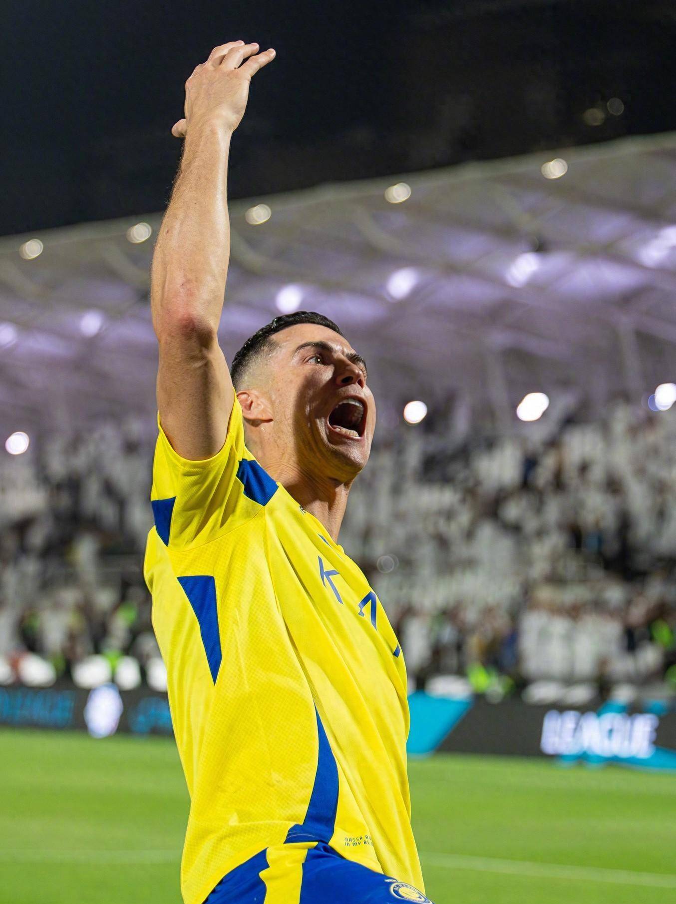 常引用19 常引用19