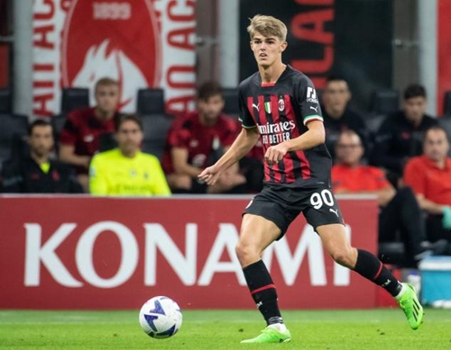 主教练雷迪 主教练雷迪